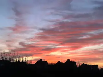 Reetdächer im Abendlicht